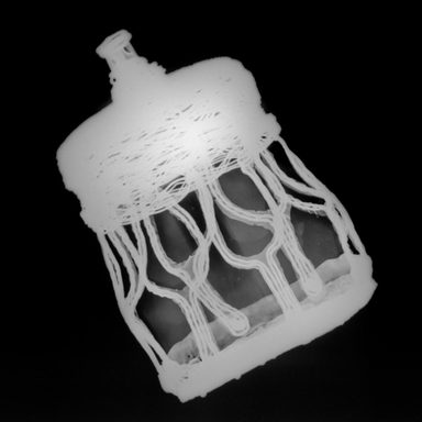 X-ray image in black and white highlighting a jar's spout, base and mesh-like covering.