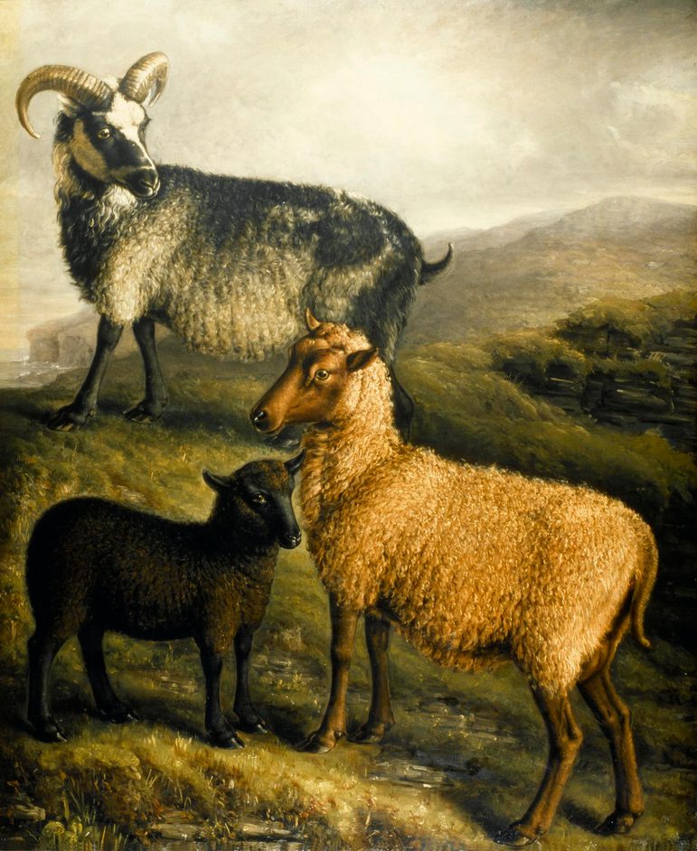 An oil painting of 3 sheep on top of a hill, in dark colours that suggest it is during winter.