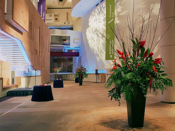 A large, stone, multi-level space with curved and block-like architectural details along the high walls. There is a large decorative plant in the foreground.