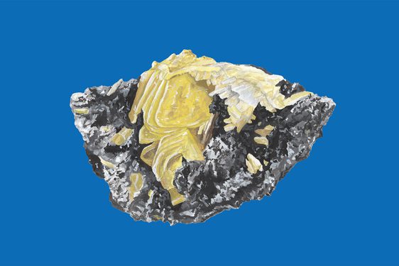 An illustration of a grey and white rock with yellow crystals coming through the surface. The rock is against a blue background