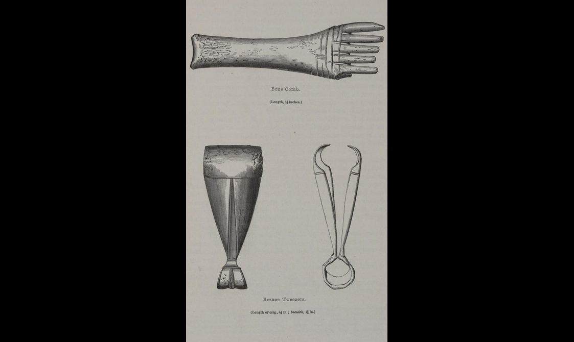 An illustrationg of a comb and two sets of tweezers.