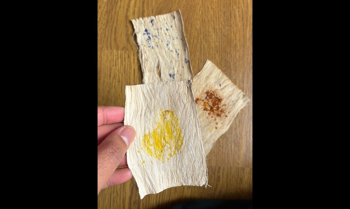 Colour experiments with Scottish plants on a small piece of hiapo.