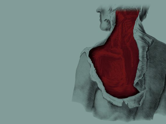 Anatomical drawing of the top half of a human from the back with skin partially pulled away to reveal muscle and veins underneath.