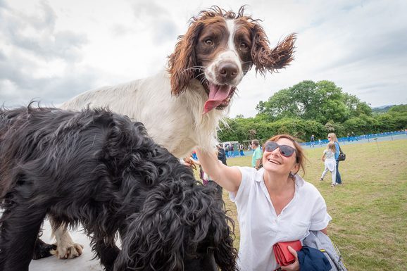 Close up of two dogs being pet by a woman.