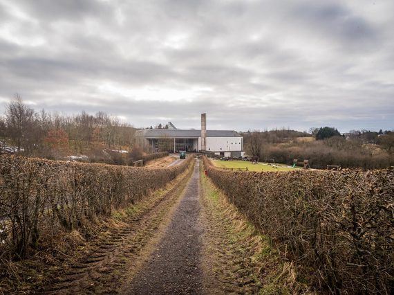 A footpath lined by hedges leading to the museum building of the National Museum of Rural life.