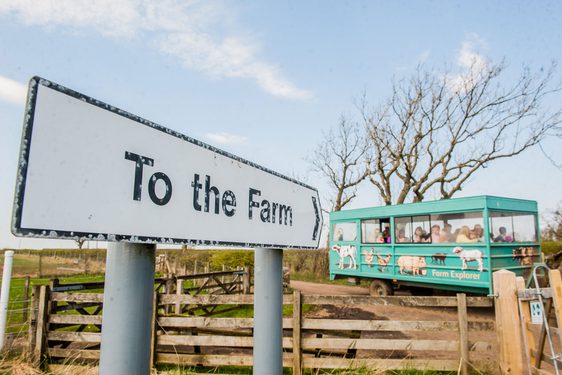 A signpost that reads 'To the farm'. In the distance is a tractor pulling a trailor of people.