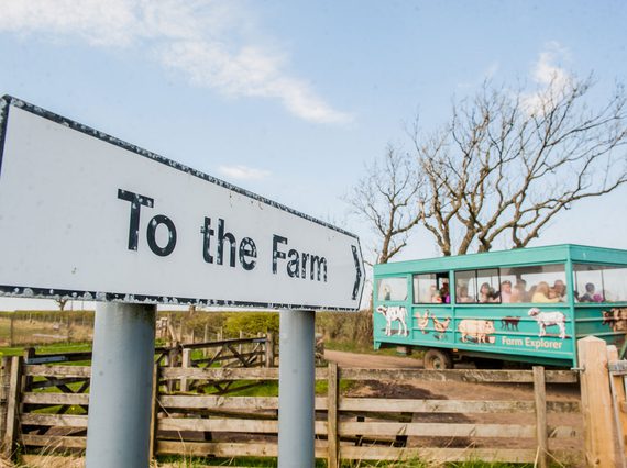 A signpost that reads 'To the farm'. In the distance is a tractor pulling a trailor of people.