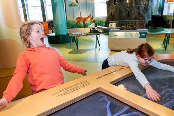 Two children in a gallery, one leans back with a look of surprise, the other rests on the display in front.