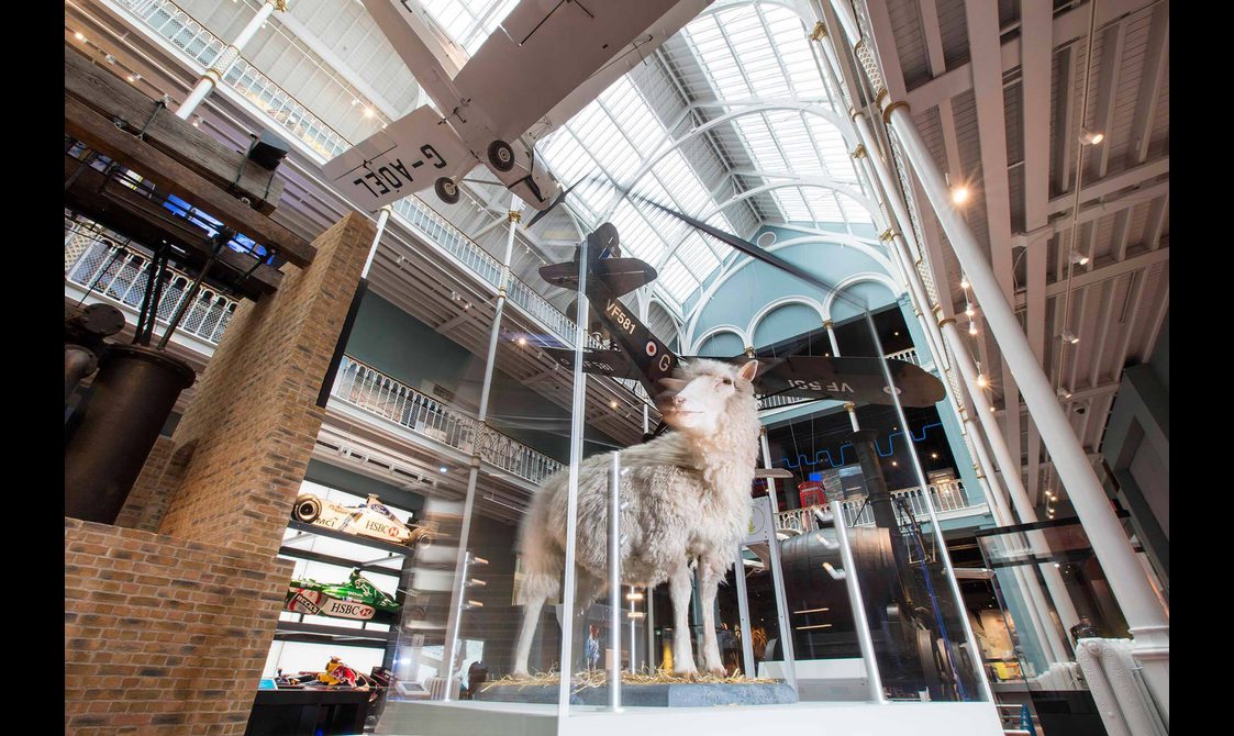 Dolly the sheep in a glass case surrounded by vehicle displays in a large museum gallery.