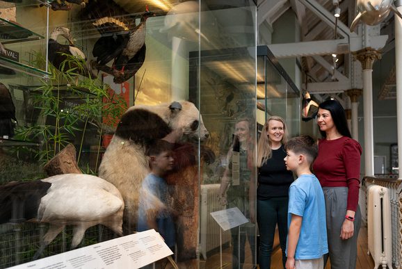 A female couple and their son look at a taxidermy model of a panda in a museum display case.