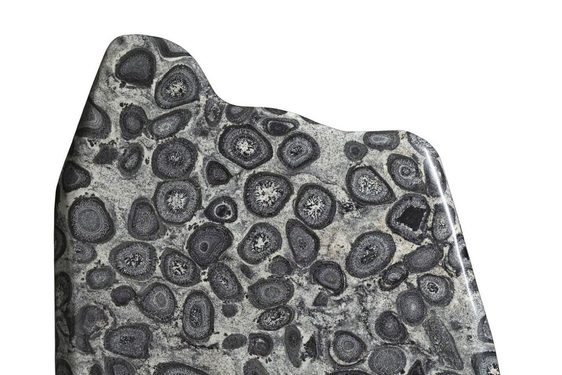 A large grey standing rock with concentric circle patterns covering its polished surface