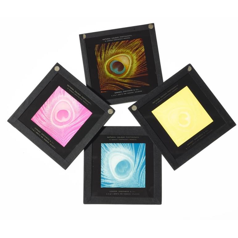 Four coloured photographic slides showing a peacock feather.