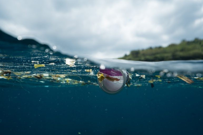 An empty plastic cup and other small pieces of plastic float among seaweed on the surface of the water.