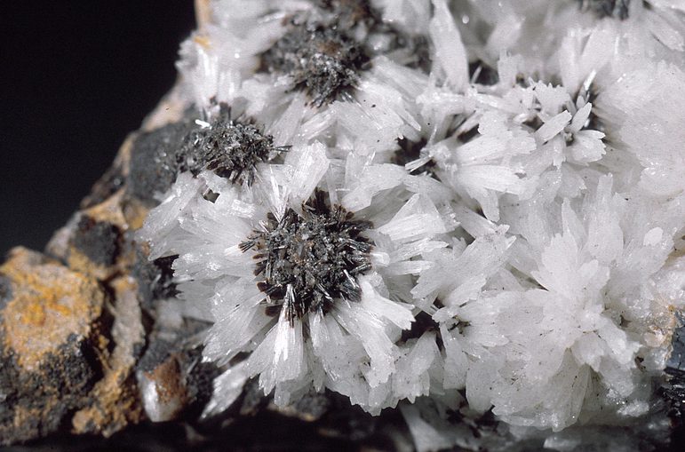 Close-up of an aragonite mineral specimen showing sharp, white crystals with dark centers on a rocky matrix.