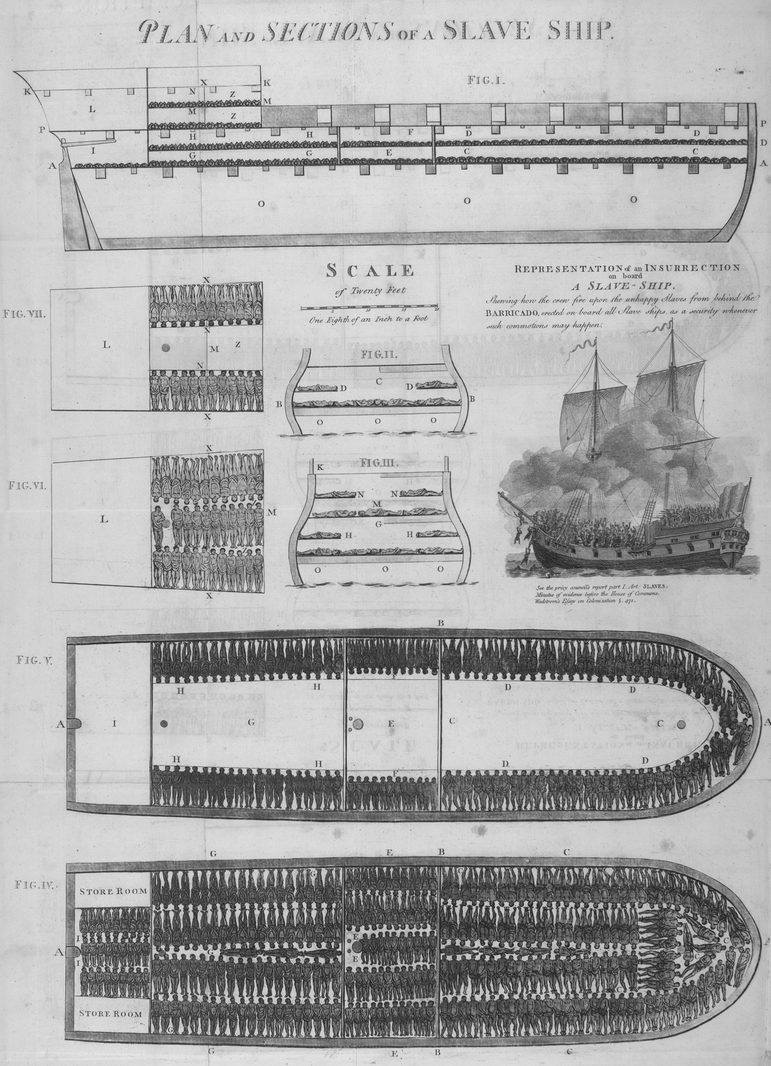 A black and white document showing plans of a boat intended as a slave ship. There are illustrations of where people will be squeezed in on the boat.