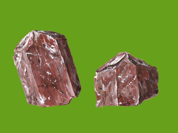 An illustration of two brown rocks with white flecks against a bright green background