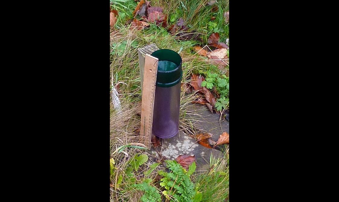 A rain gauge positioned on a stone slab and surrounded by green grass and foliage. A wooden ruler is propped against the side of the gauge.