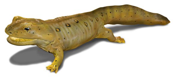 A digital illustration of a yellow green reptile with dark spots