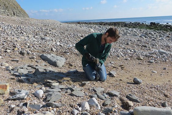 A man kneeling on a rocky beach examining rocks.