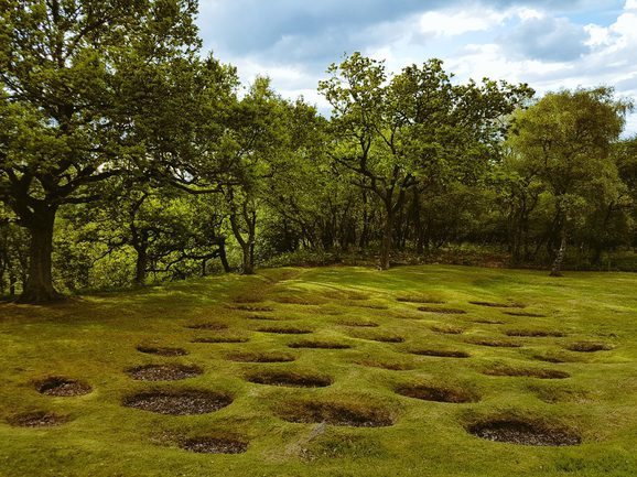 Multiple holes dug out in the green meadow with trees in the background.