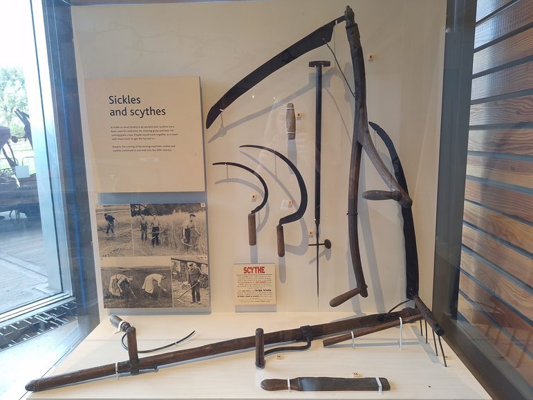 A museum display showing a range of sickles and scythes, alongside a panel of text describing their purpose.