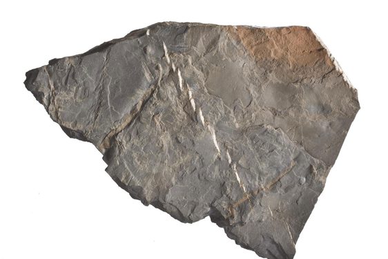 A jagged piece of flat, grey-brown rock.