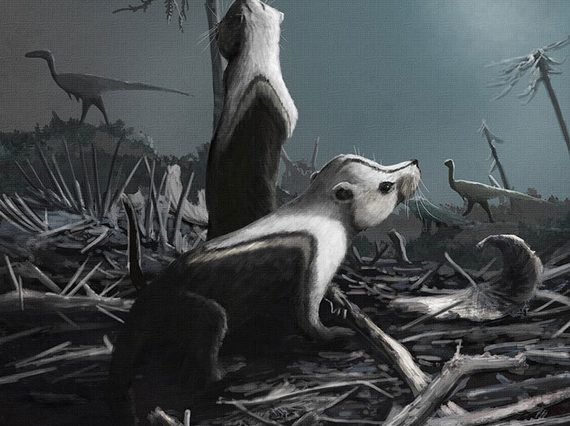 Painting of two small black and white rodent-like mammals with dinosaur shapes in the background.