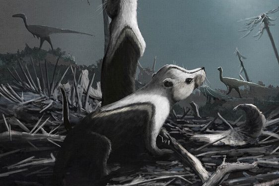 Painting of two small black and white rodent-like mammals with dinosaur shapes in the background.