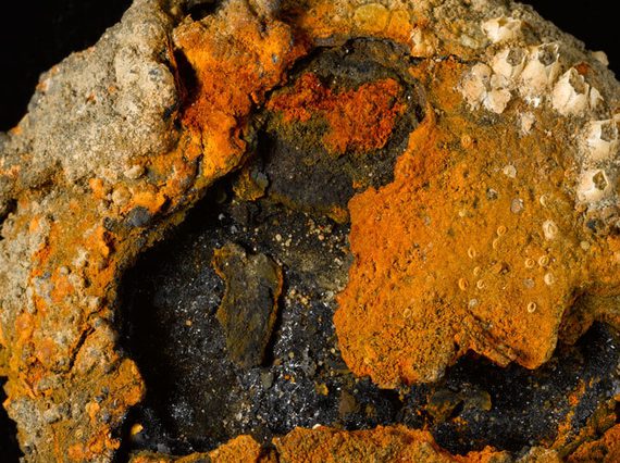 A colour photograph of a corroded circular piece of metal against a black background. The metal object has orange, black, and cream colouring, with the black at the centre. It is very bumpy in texture with what look like miniature barnacles attached to the outer circumference.
