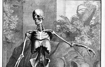 Woodcut illustration of a skeleton standing in front of a hippopotamus