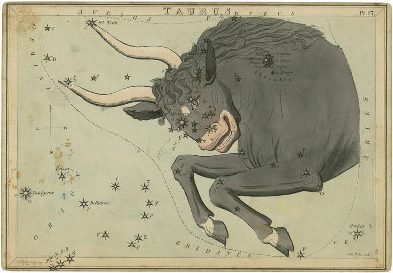 An illustration of the Taurus bull mapped out in constellation stars.