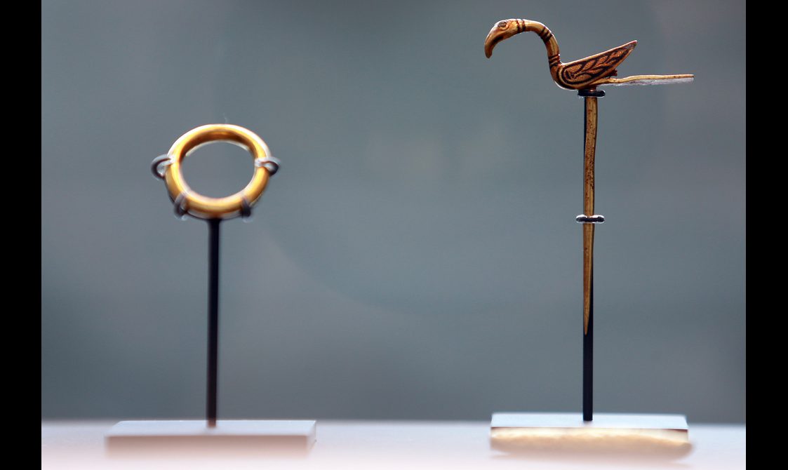 A gold ring and gold bird pin mounted for display.