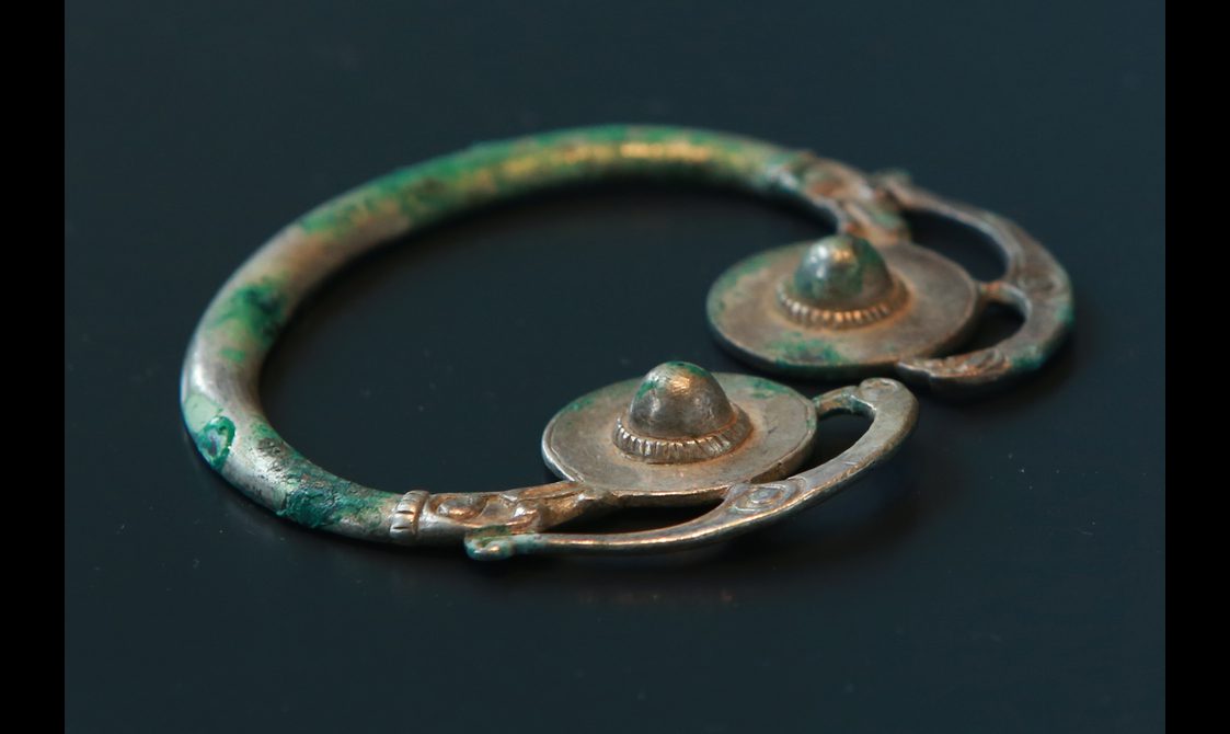 A rusted brooch hoop.