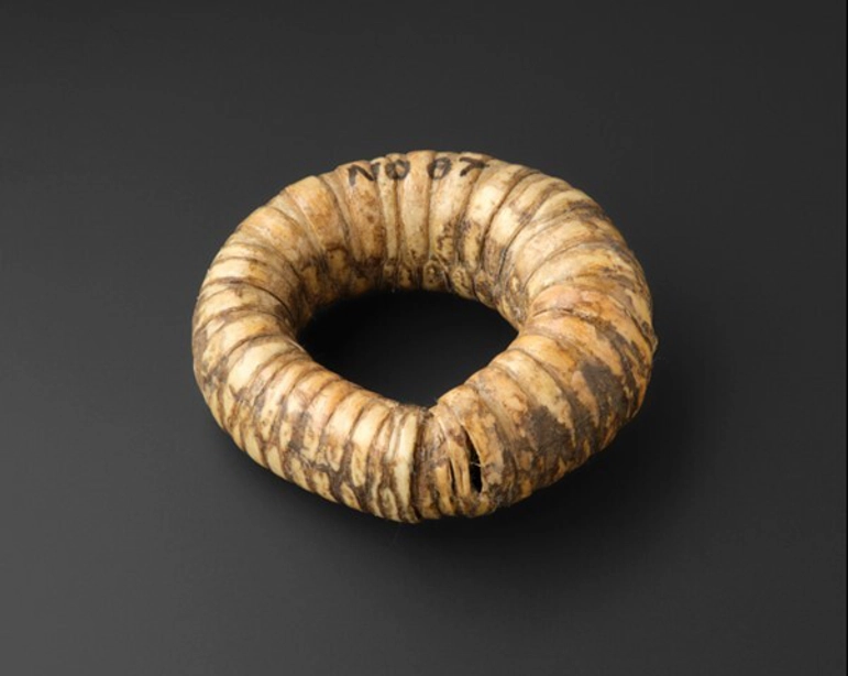 Goose larynx curved into a circle containing small stones.