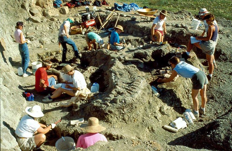 Several people in shorts and tshirts digging around a large skeleton in a dusty landscape