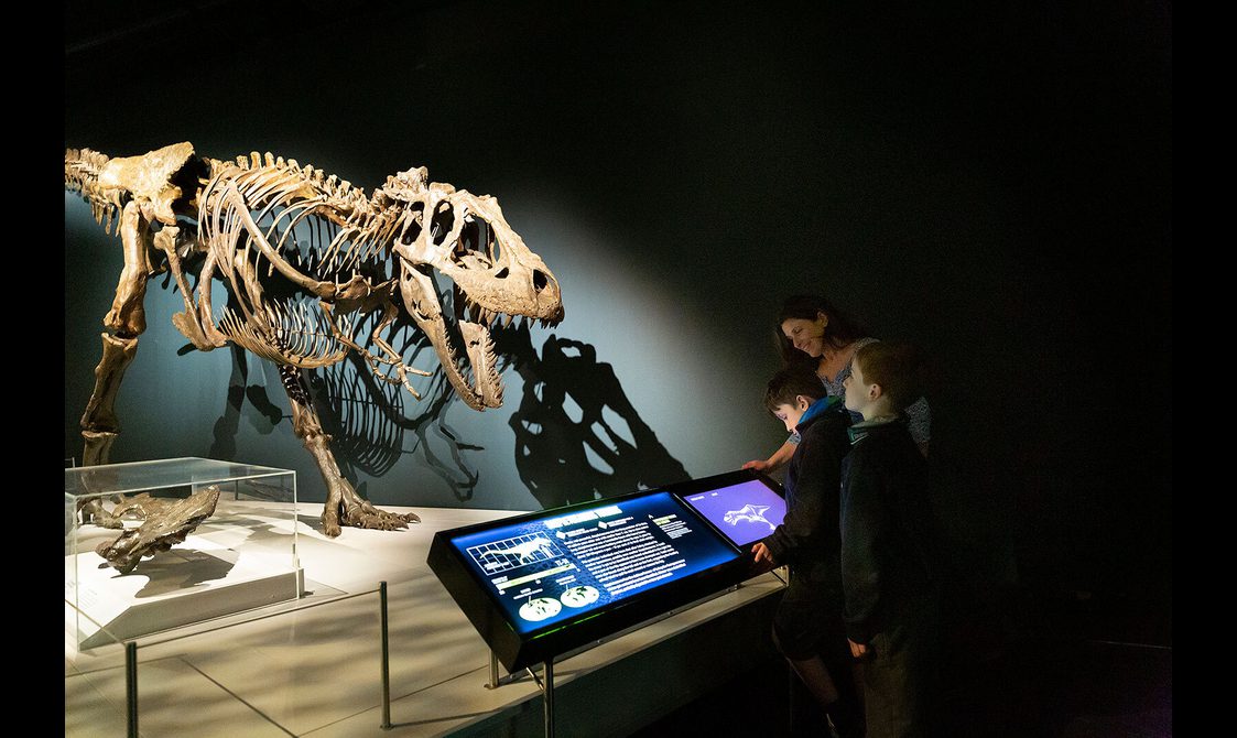 Visitors looking at a screen in front of a T.rex skeleton model in a museum exhibition.