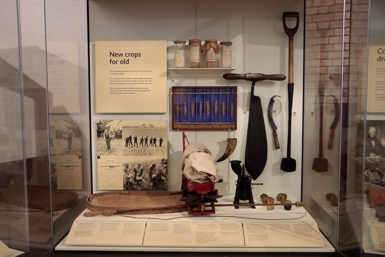 A museum display case featuring different tools sich as a hoe and a sickle.