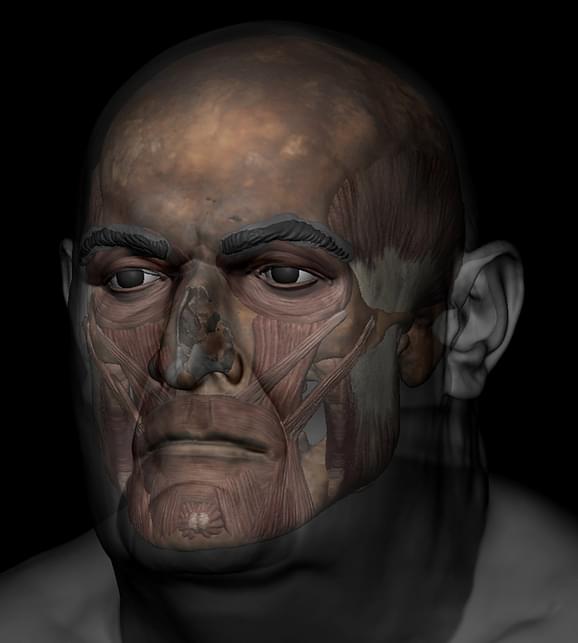 Close-up 3D facial reconstruction of Bishop Walter showing his facial muscles.