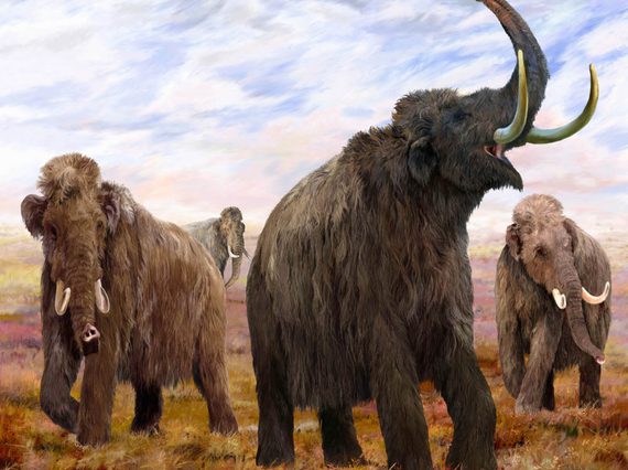 A painting of four large woolly mammoths in a grassy landscape