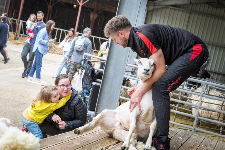 A mother and daughter watching a farmer shear a sheep.