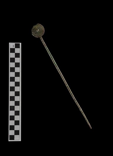 A bronze pin with a circular disc head with concentric circles as decoration and a long shank.