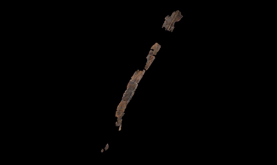Fragments of wood pieced back together to show what was once a long scabbard for a sword