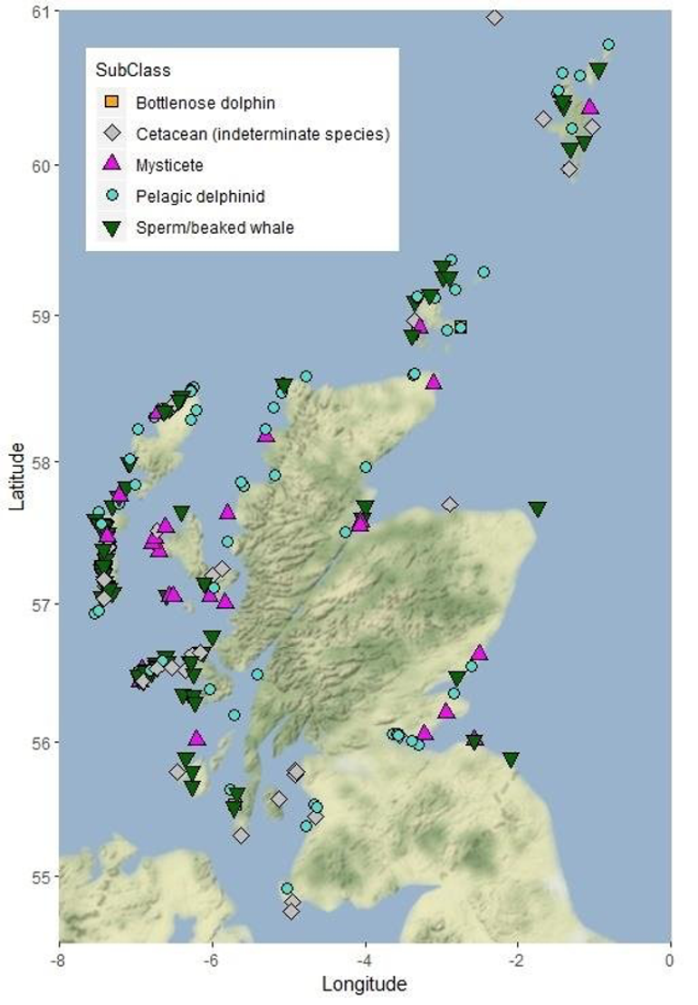 A map of Scotland showing different shaped markers for different marine mammal types.